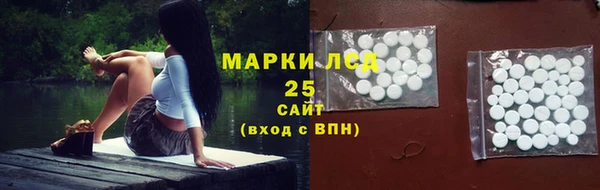 PSILOCYBIN Гусь-Хрустальный