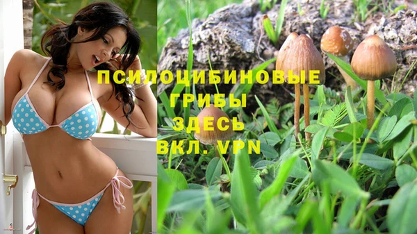2c-b Абдулино