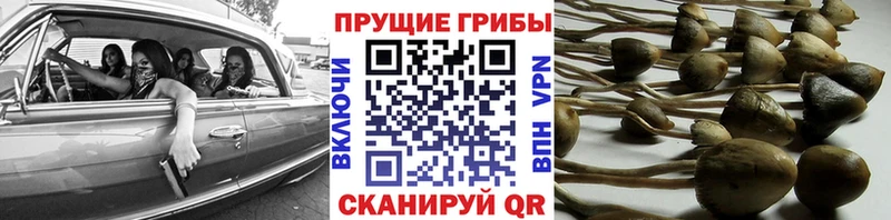 Галлюциногенные грибы мухоморы  Ирбит 